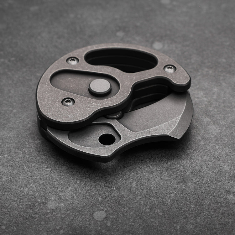 Baby Raptor Coin Claws